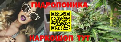 шишки Старая Купавна
