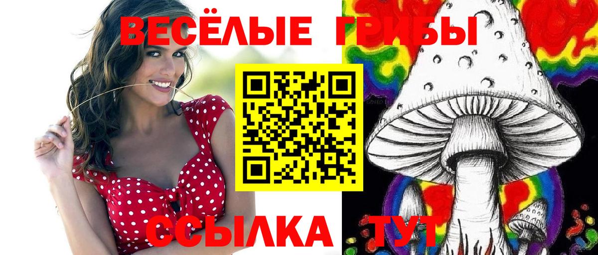 Галлюциногенные грибы Psilocybine cubensis Белогорск